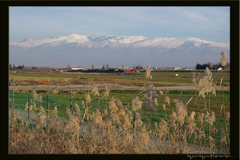 Sierra Nevada