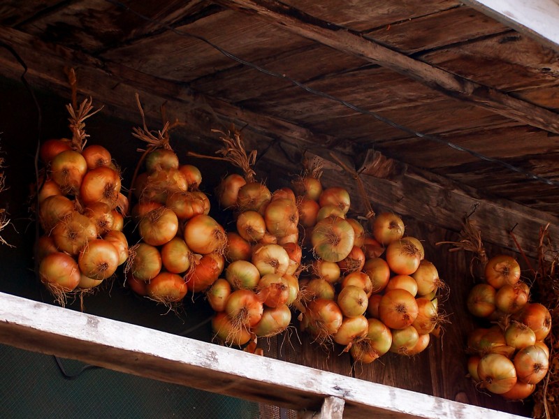 Nanas de la cebolla