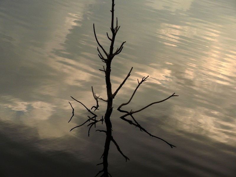 reflejo de la escasez de lluvias