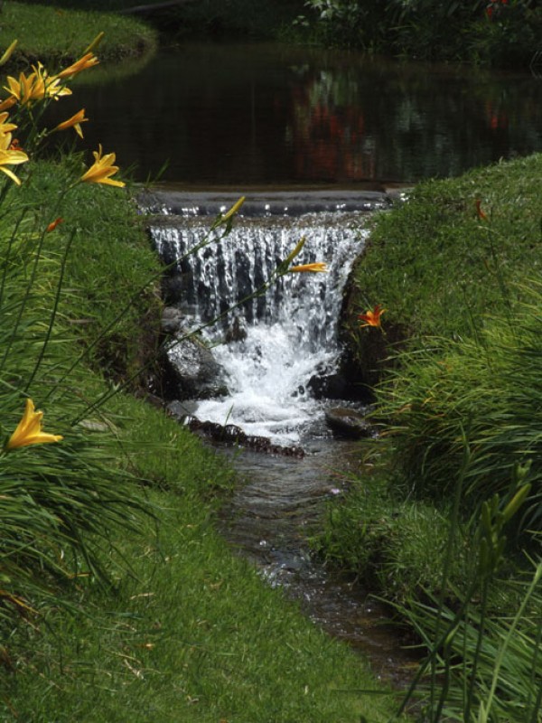 Cascada de las palmas