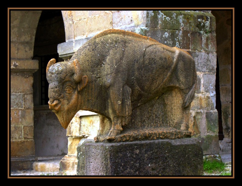 Bisonte Europeo