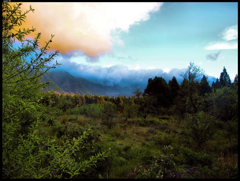 Cumbres De La Palma