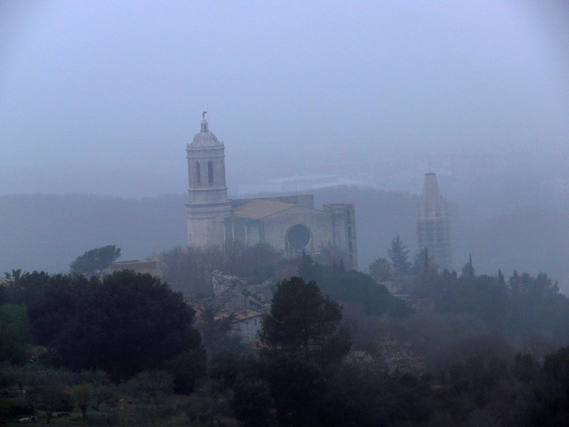 emergiendo entre la niebla