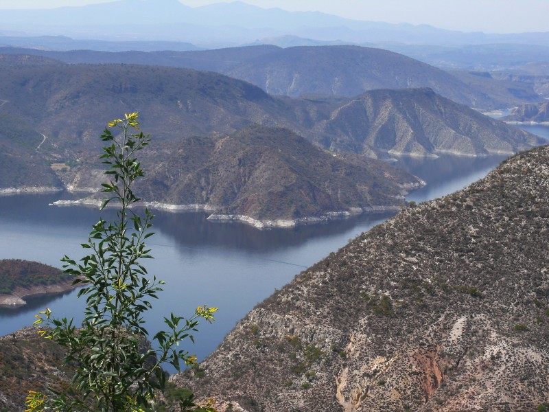 Presa Zimapan