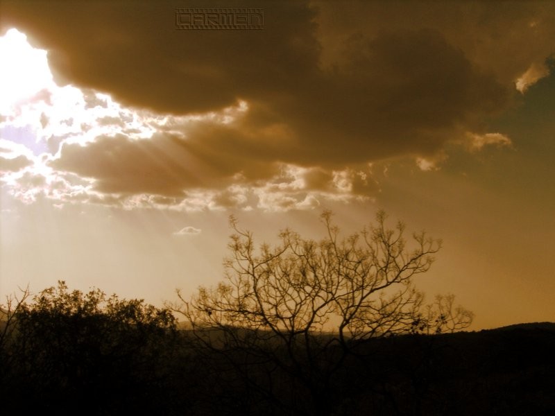 Luz en el desierto