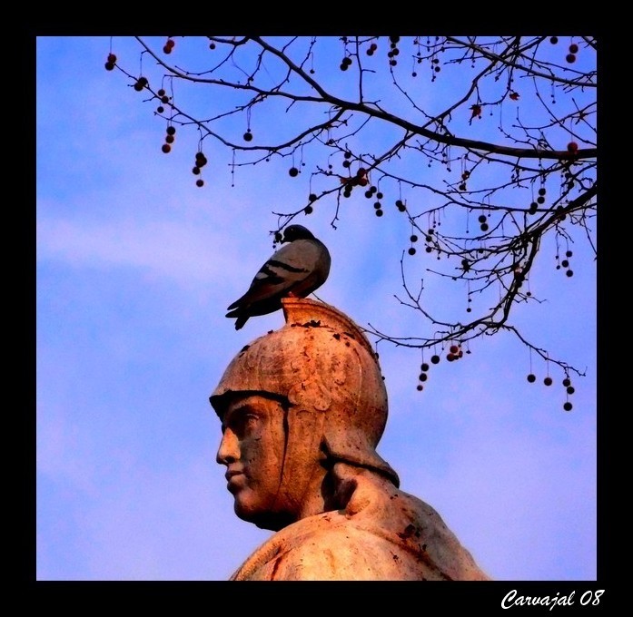 Guerrero con paloma (Dedicada a Carmela)