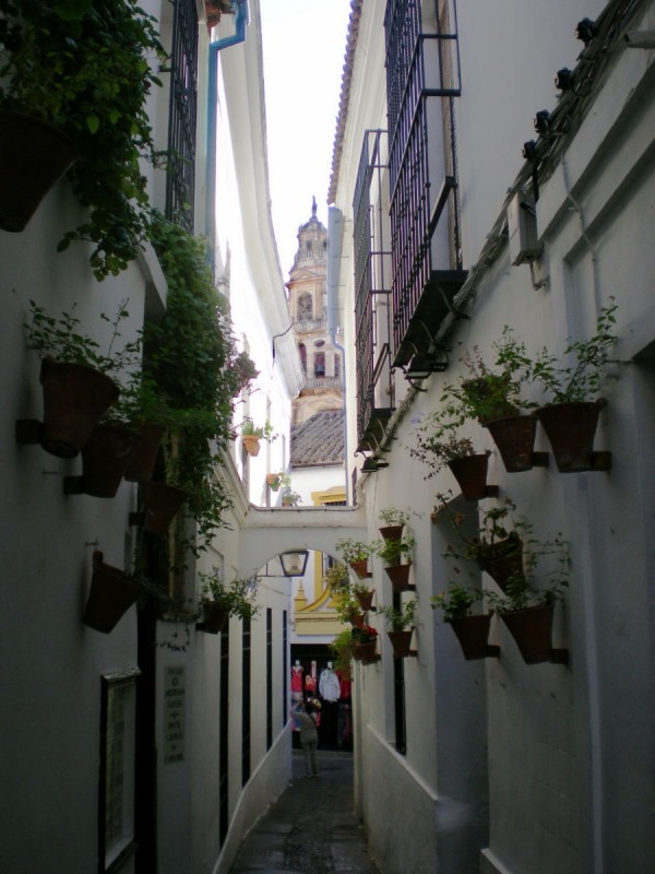 Calleja de las Flores