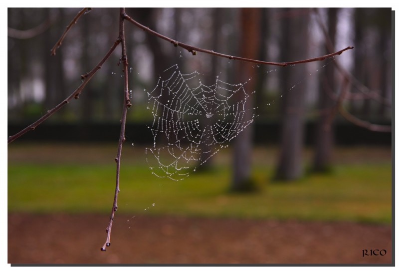 Aranjuez1