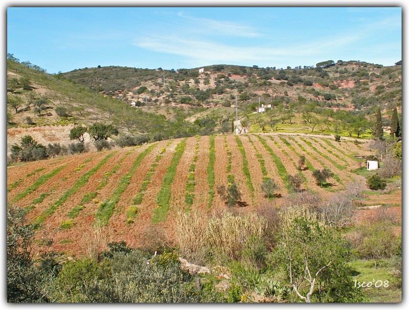 Paisaje rural