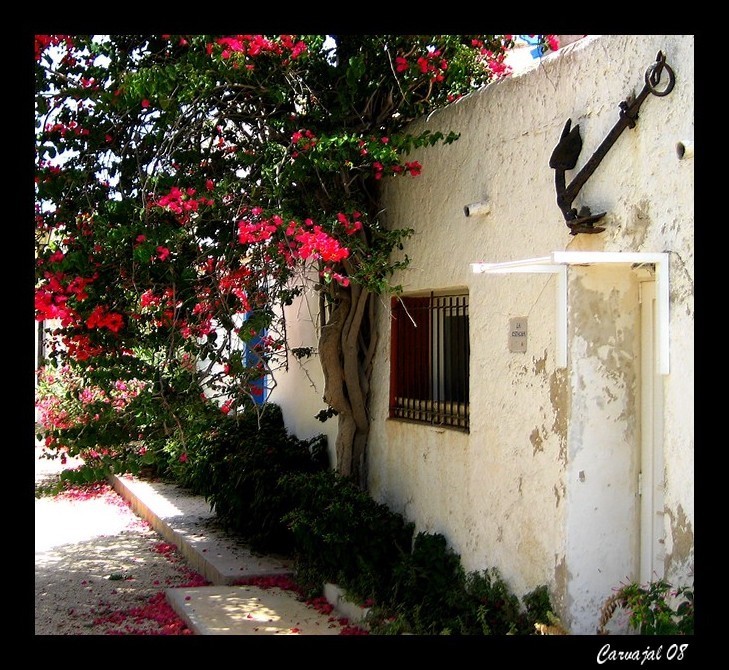 Una calle de Tabarca