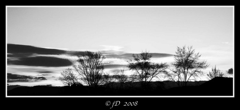 LA BELLEZA EN GRIS