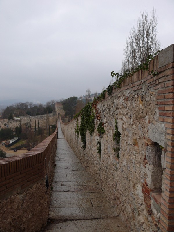 Paseo de la muralla