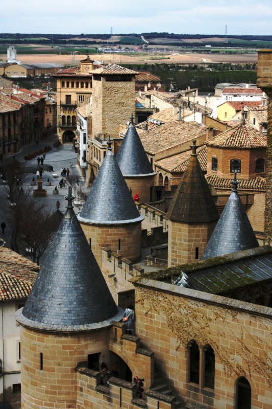 Castillo de Olite