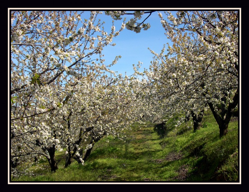 Nieve en Primavera