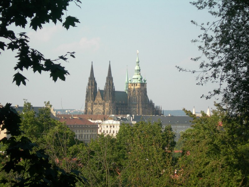 La Catedral desde el parque de Petrn