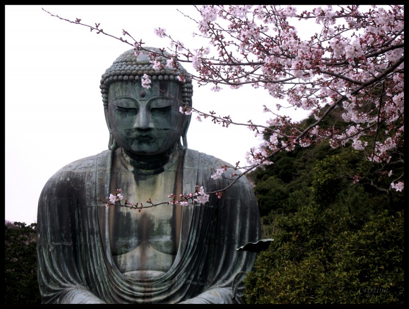 Gran Buda de Kamakura