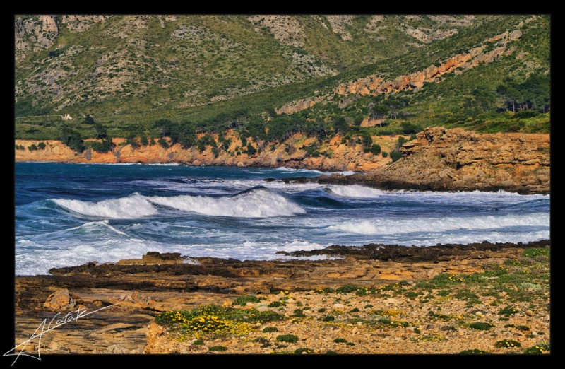 Vent de Tramuntana