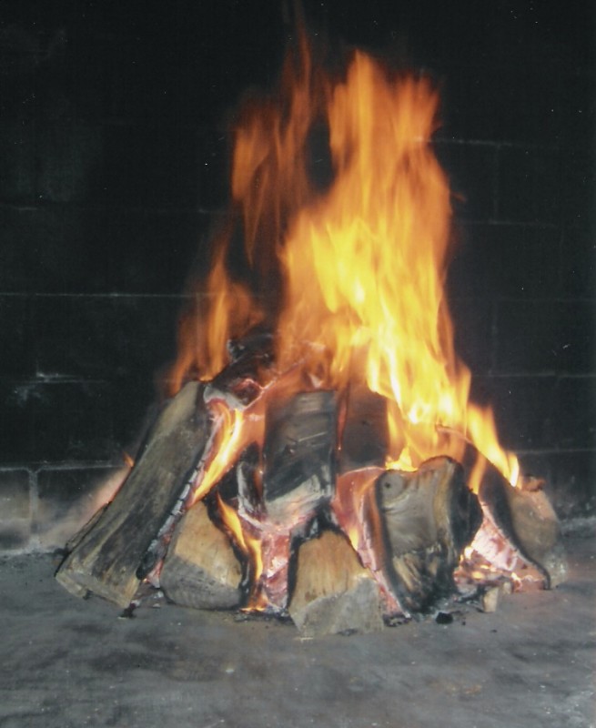 Preparativos culinarios.jpg