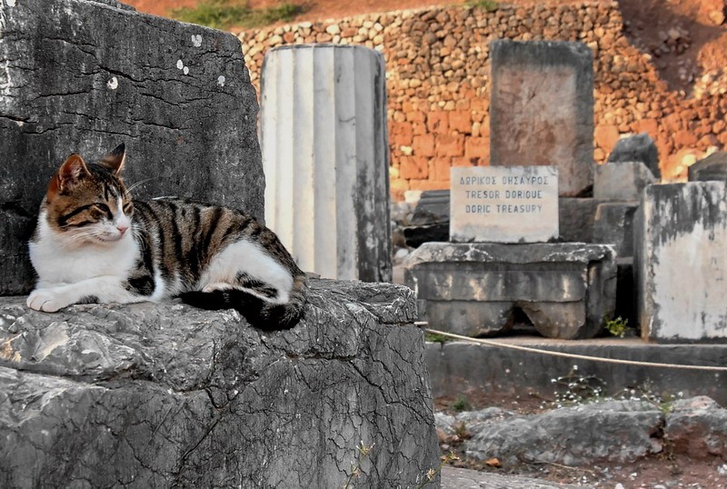 El guardian del tesoro