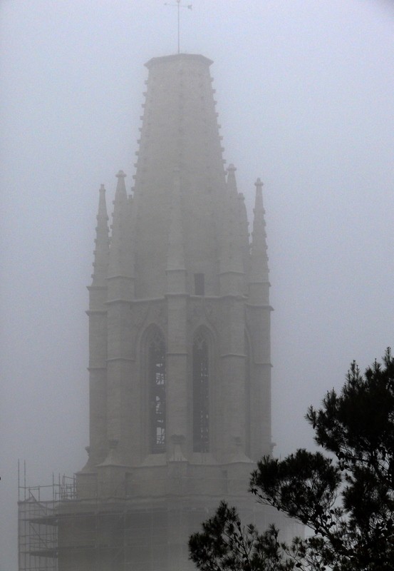 despuntando en la niebla