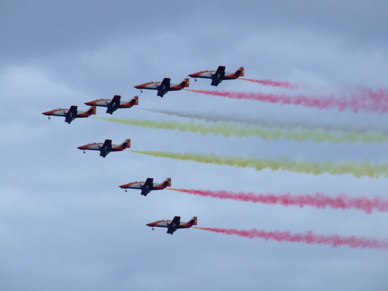 Patrulla aguila