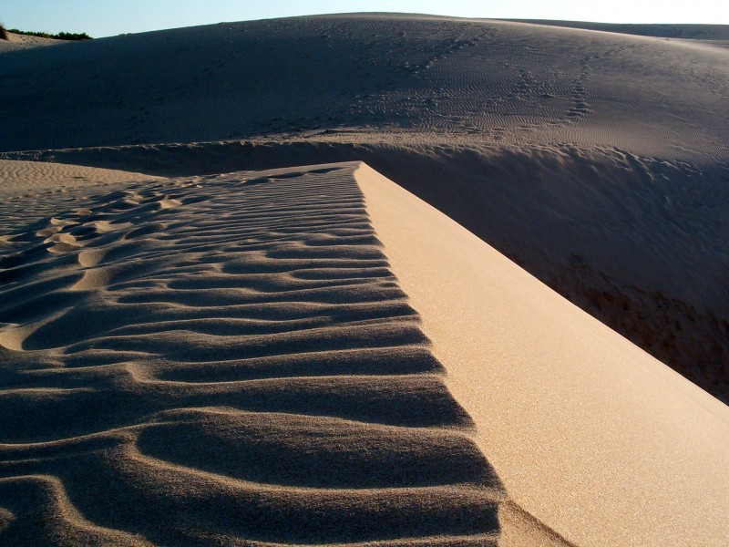 En la inmensidad de las dunas