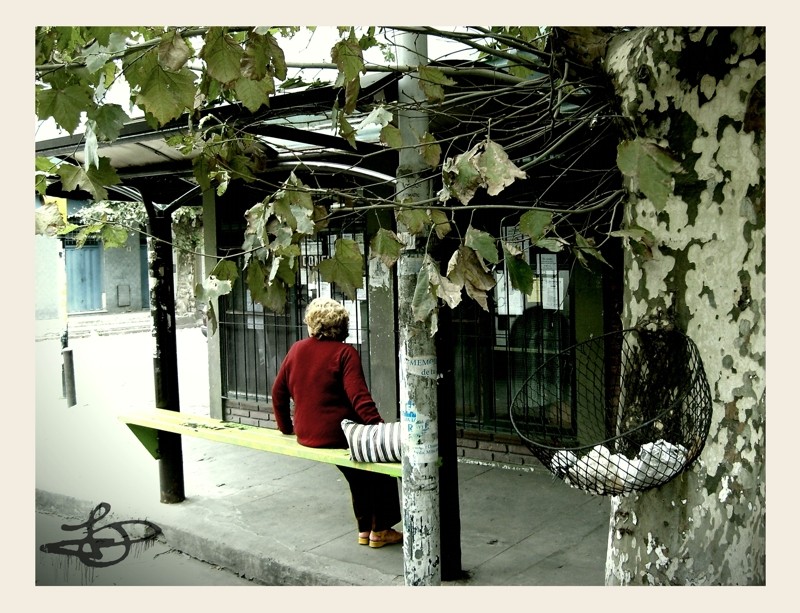 ESPERANDO EL BUS DEL TIEMPO Y DE LA VIDA