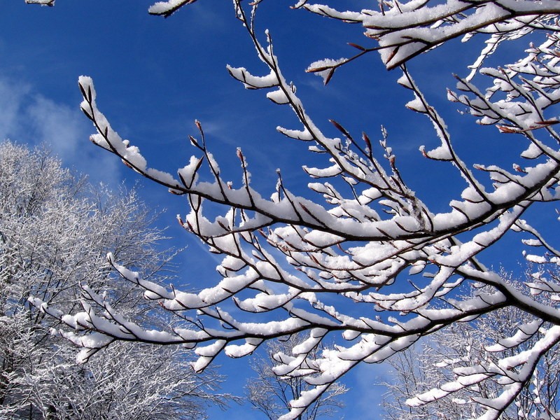 primavera...? invierno...?