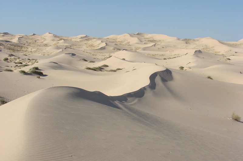 Medanos