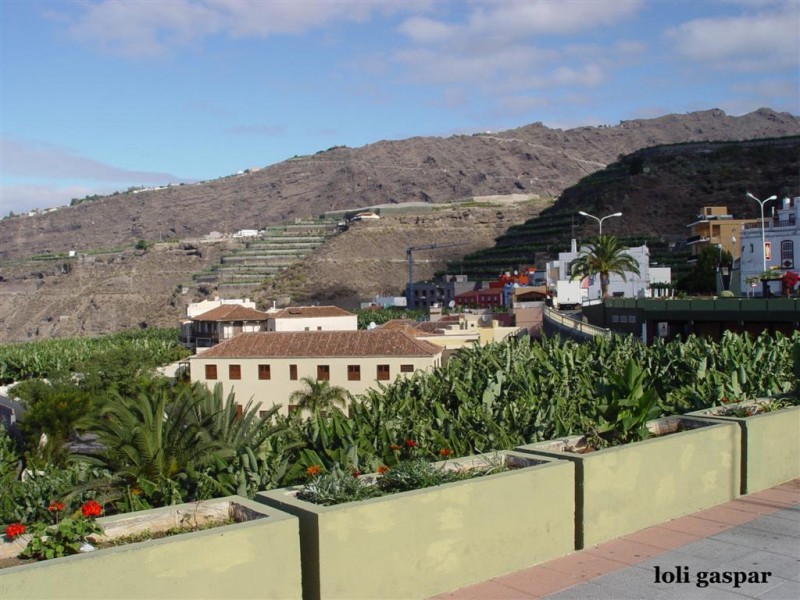 Casa Massieu de Tazacorte