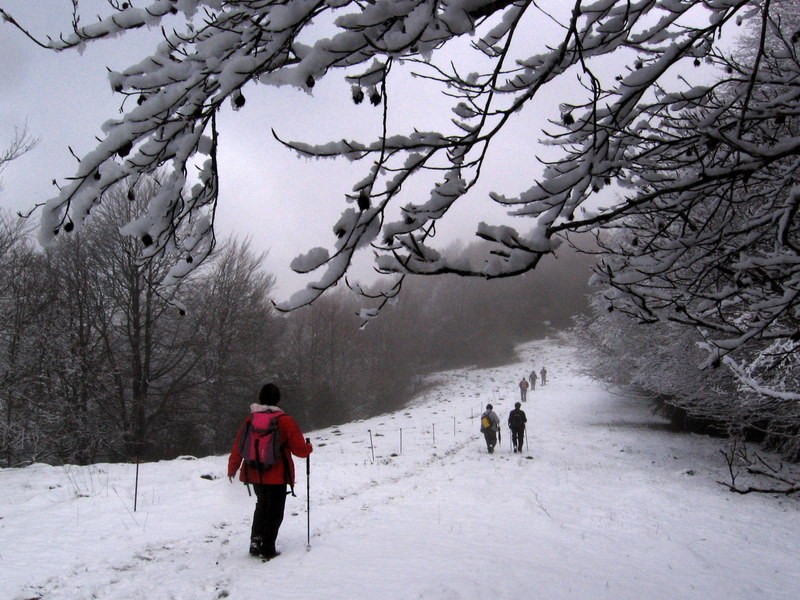 siguiendo la senda nevada...