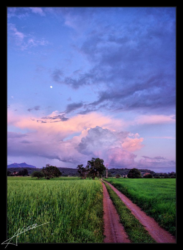 Camins de Mallorca