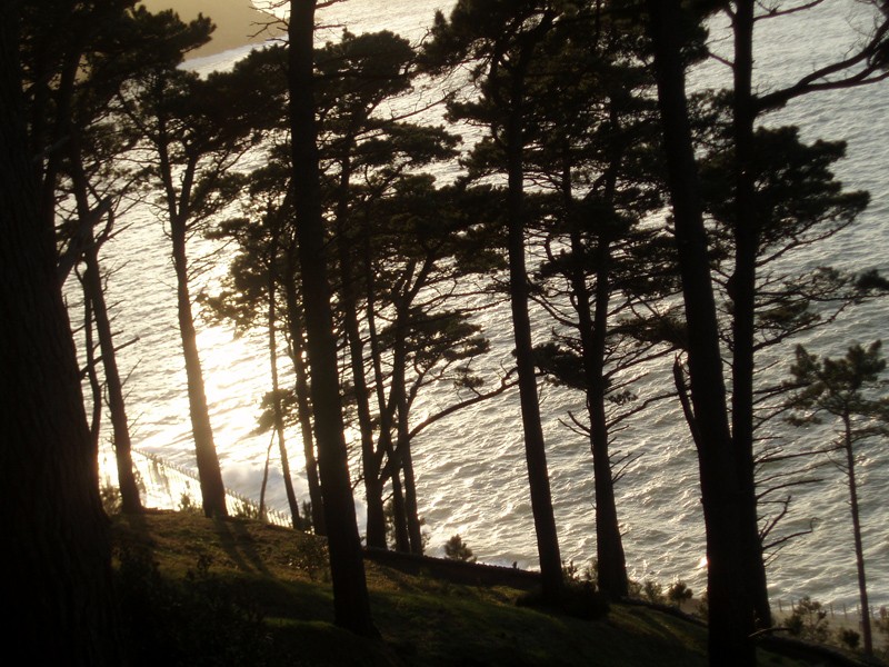 Sombras de un atardecer