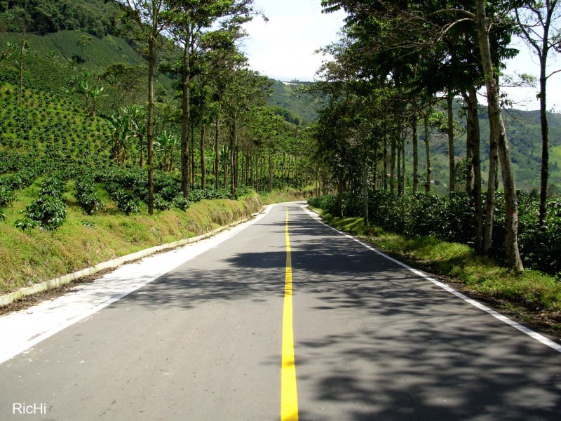 CARRETERA CAFETERA