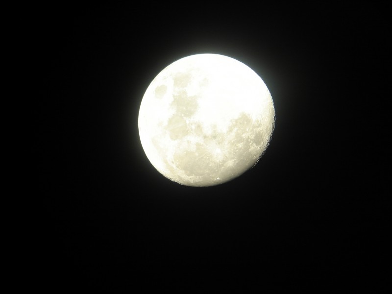 Dicen que a la luna se le ve el ombligo