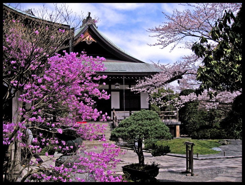 Templo Hokoku-ji