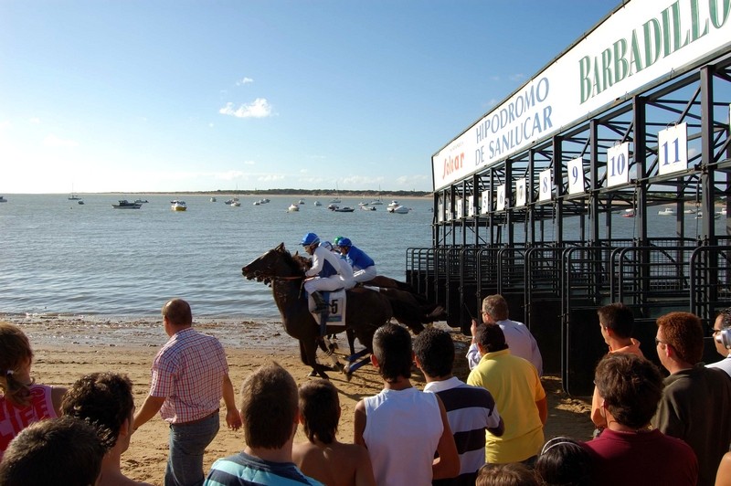 Carrera de Caballos