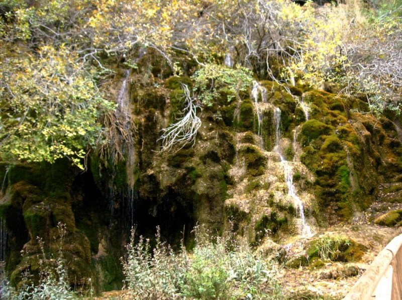 Nacimiento del rio