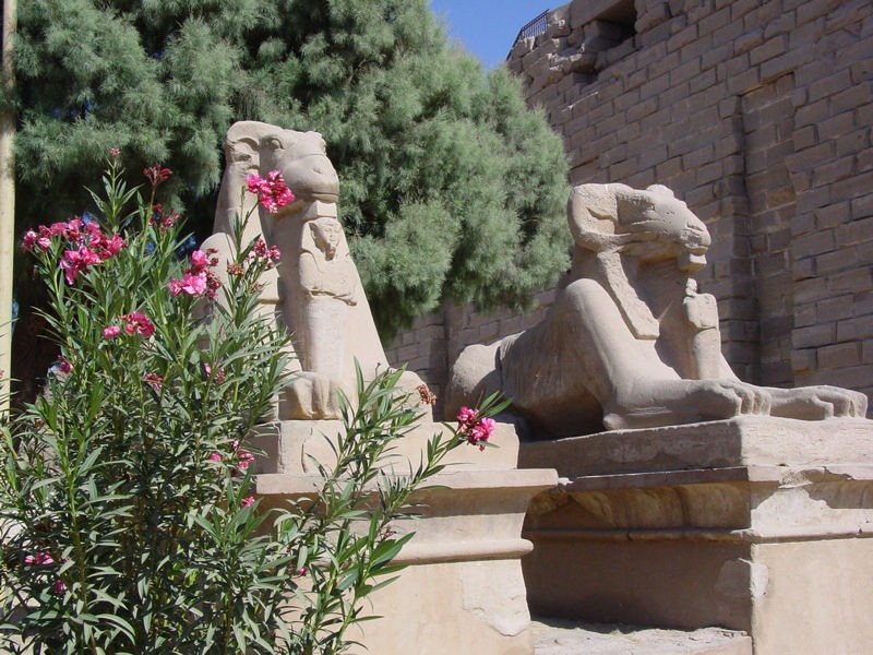 Detalle de la avenida de las Esfinges