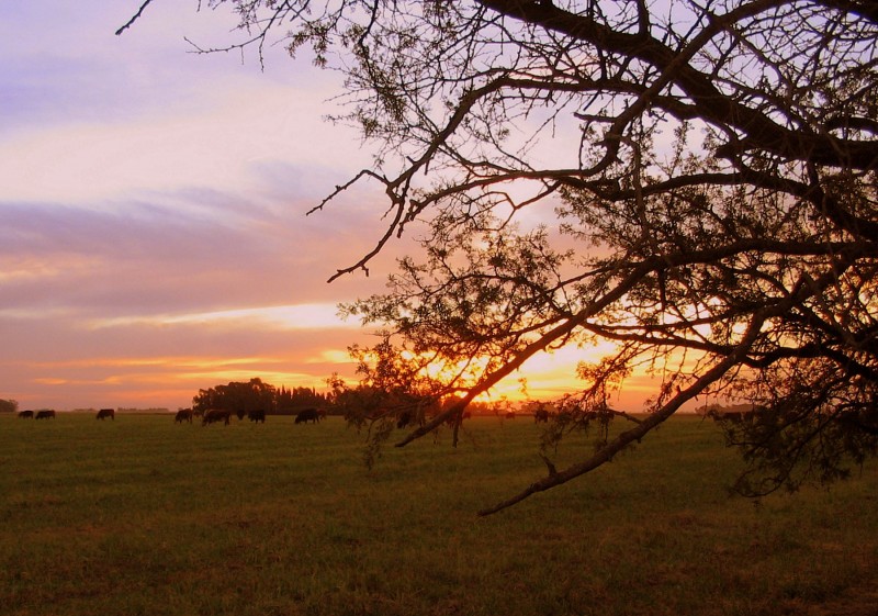 LA TARDE FINAL