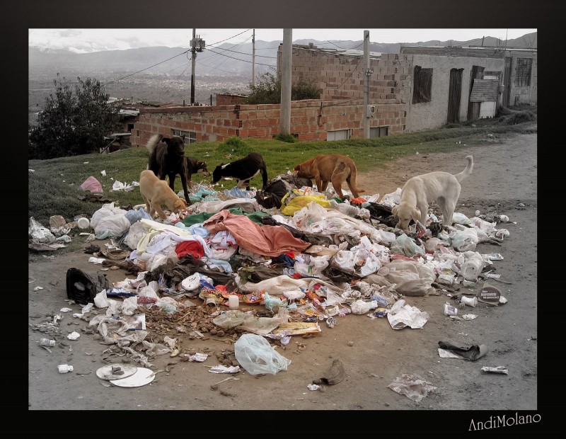 El mundo que no queremos...