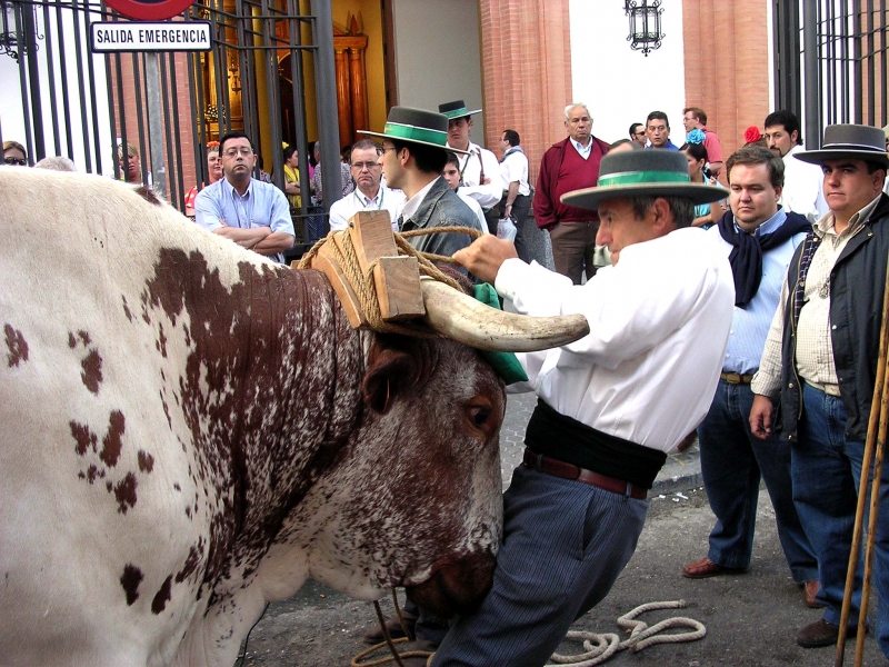 Hacia el Rocio