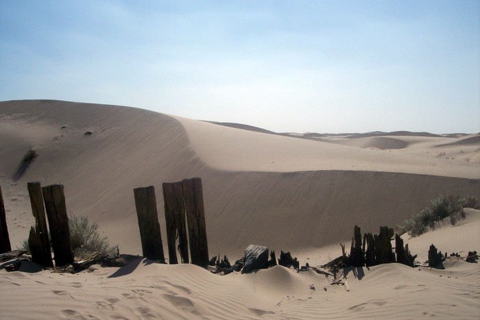 DUNAS DE SAMALAYUCA