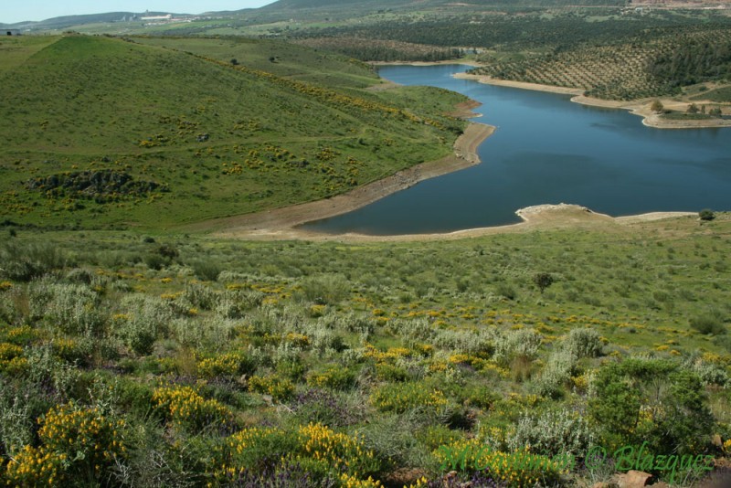 extremadura zafra