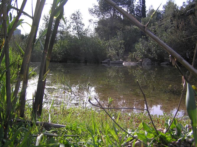 Olocau, el Carraixet a su paso por Olocau.