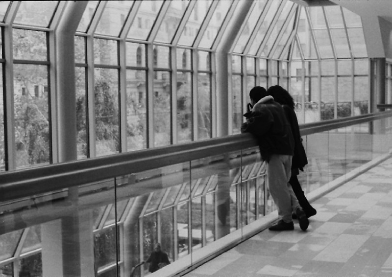pareja en el MOMA