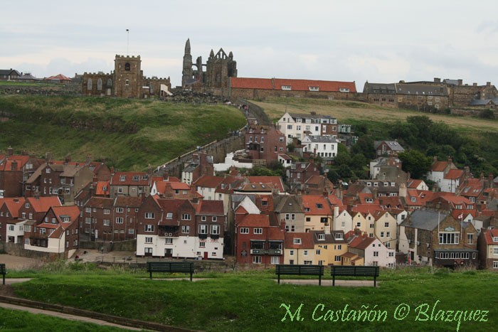 whitby puerto