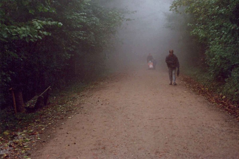 caminando en la niebla