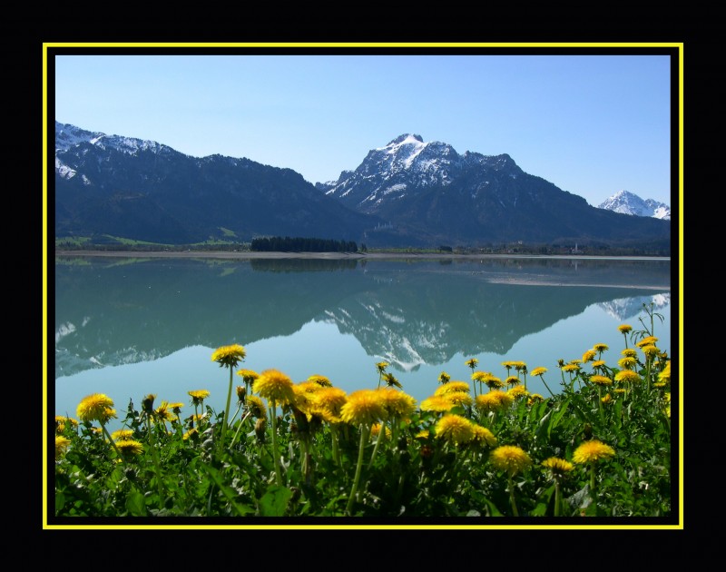 Lago Forggensee