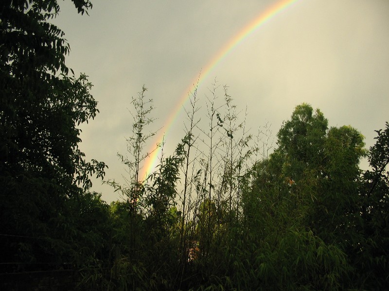 Despes de la tormenta